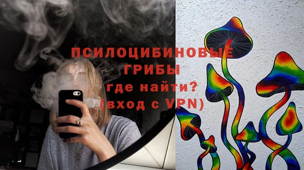 винт Щигры