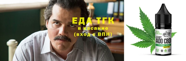 индика Гусь-Хрустальный
