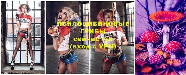 герыч Пересвет