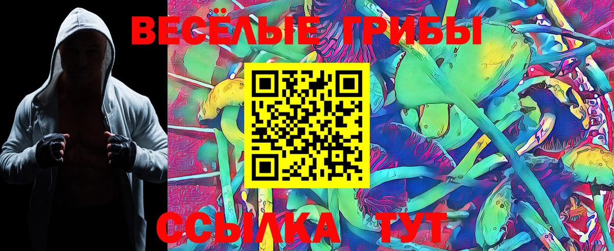 Кушва  Галлюциногенные грибы Cubensis  Вход с VPN  Галлюциногенные грибы MAGIC MUSHROOMS 